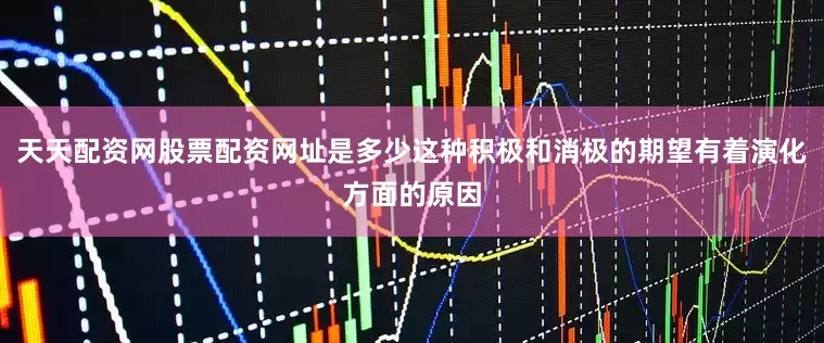 天天配资网股票配资网址是多少这种积极和消极的期望有着演化方面的原因
