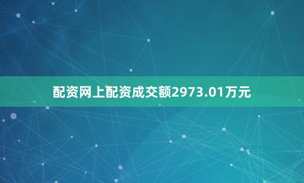 配资网上配资成交额2973.01万元