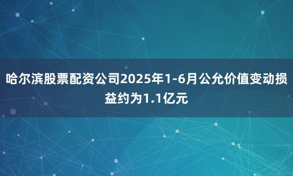 哈尔滨股票配资公司2025年1-6月公允价值变动损益约为1.1亿元